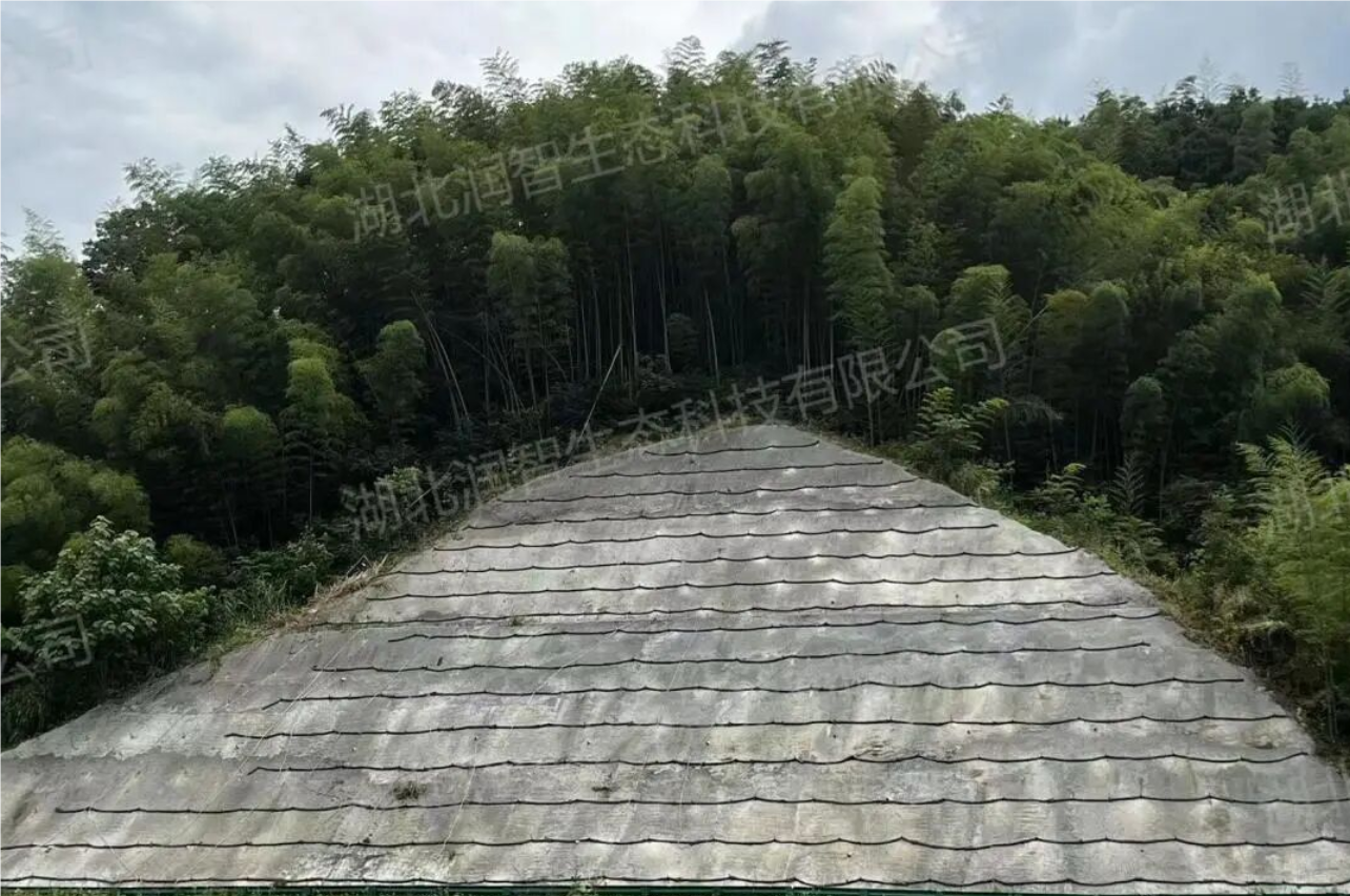 QQ_1758183373439.png